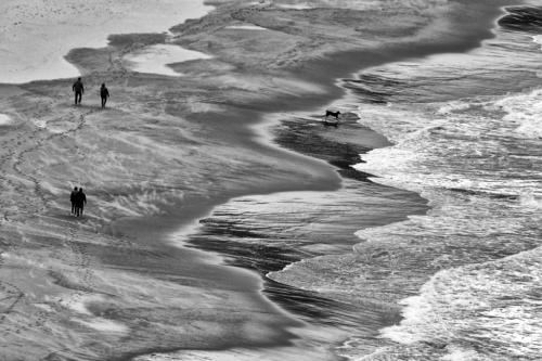 Il Mare d'invernoZarrelli SaverioCampobasso