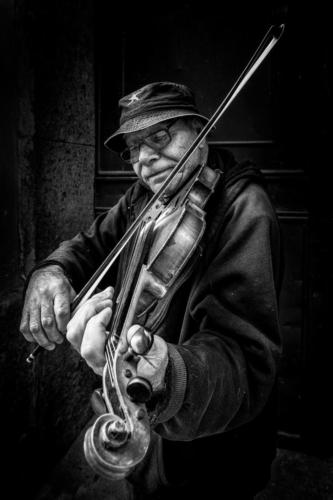 Titolo: VIOLINISTA DI STRADA - Ammessa di: Bartolomeo La Gioia