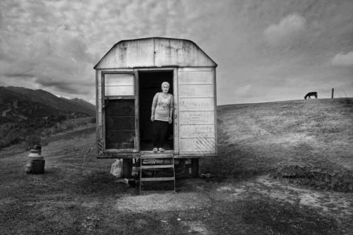 Titolo: DONNA SUL CARRO - Ammessa di: Bruno Madeddu