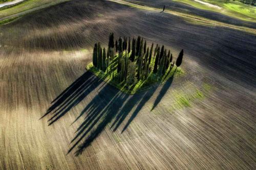 Titolo: VAL D ORCIA 11 - Ammessa di: Roberto Tagliani